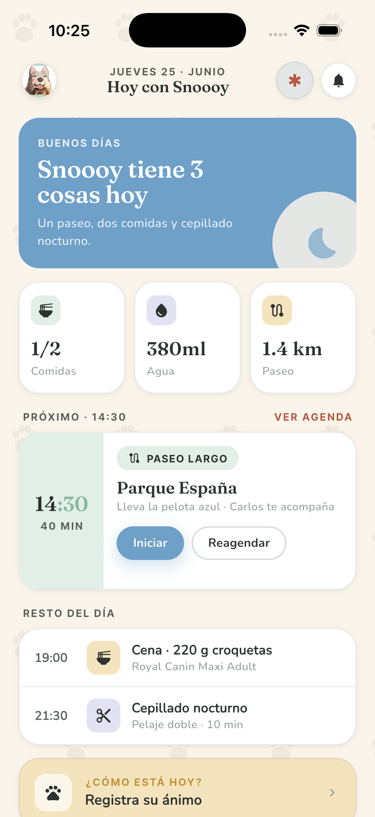 PetXimo — Hoy